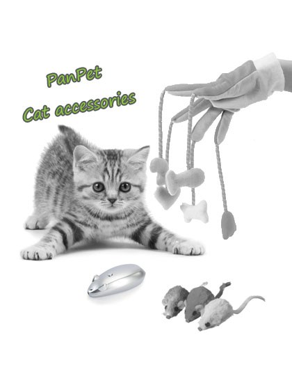 CATEGORy-cat accessories copy